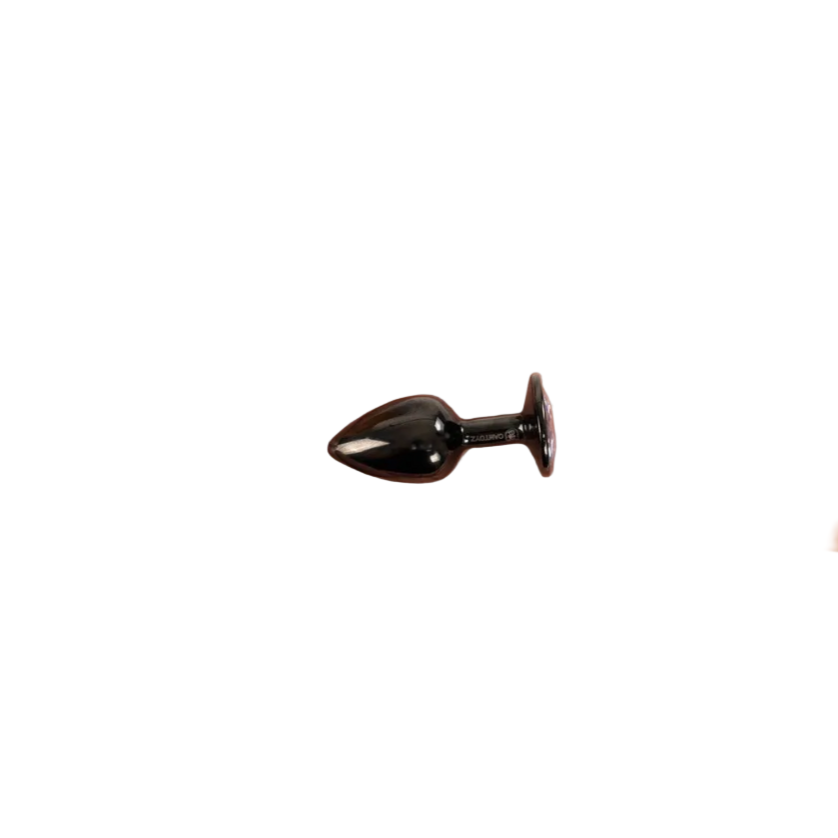 Plug anal lucio negro